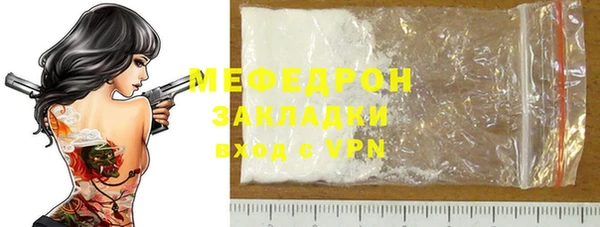 индика Осинники