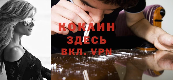 кокс Алексин