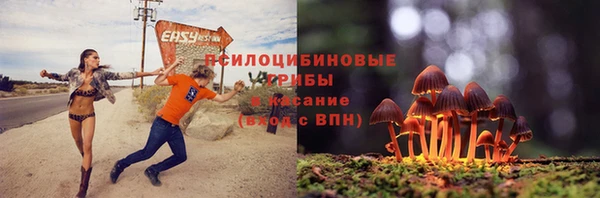 ешки Алексеевка