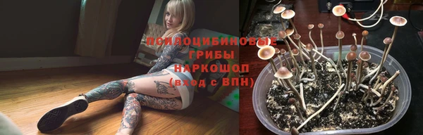 крисы Алзамай