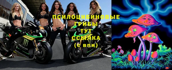 ешки Алексеевка