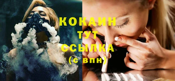 крисы Алзамай