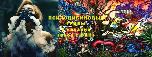 ешки Алексеевка